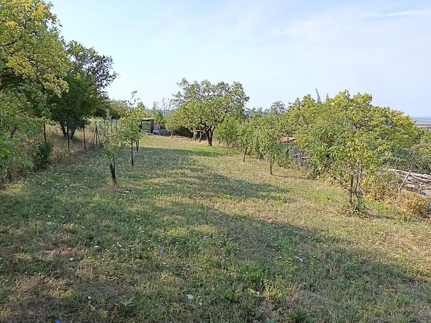 Ostatní
