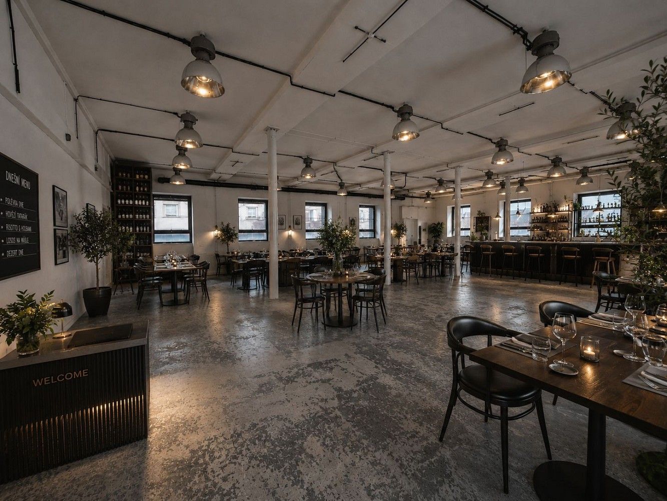 Restaurace, Václavská, Brno - Staré Brno, 365 m² - 2