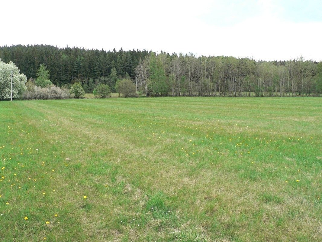 Pozemek pro bydlení · Stachy, 384 73 - 3