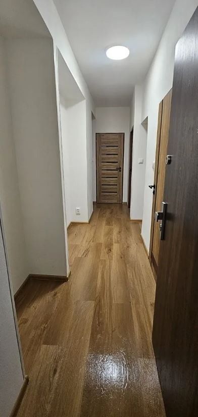 Pronájem byt - Olomouc, 779 00