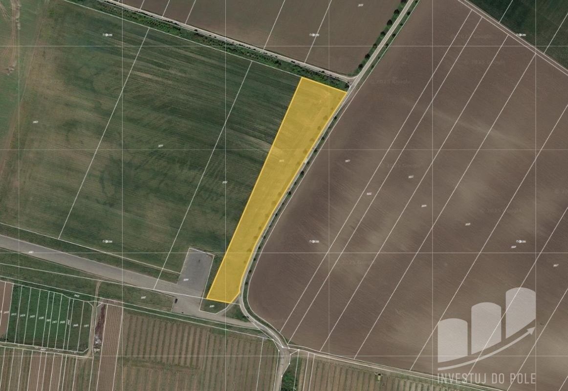 Prodej zemědělský pozemek - Popice, 691 27, 7 040 m²