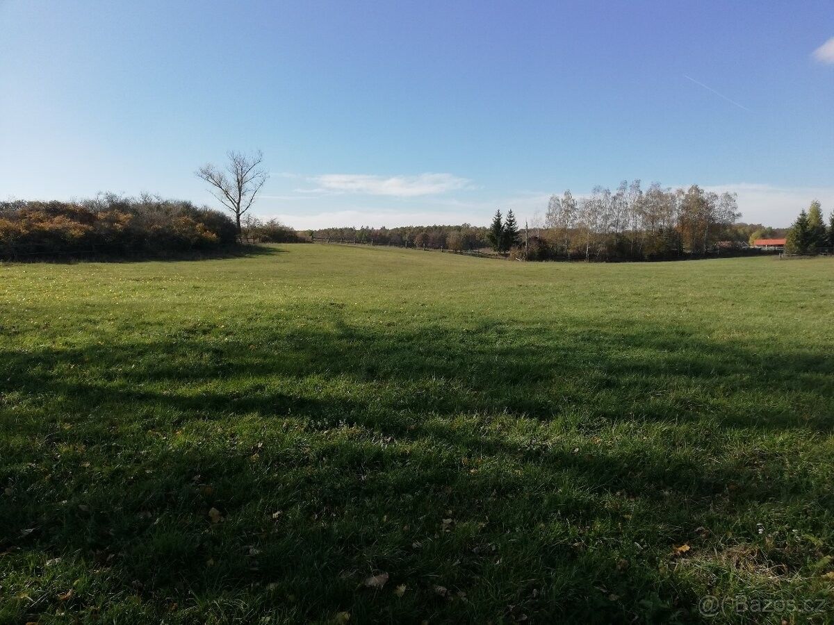 Pozemky pro bydlení, Choťánky, 290 01