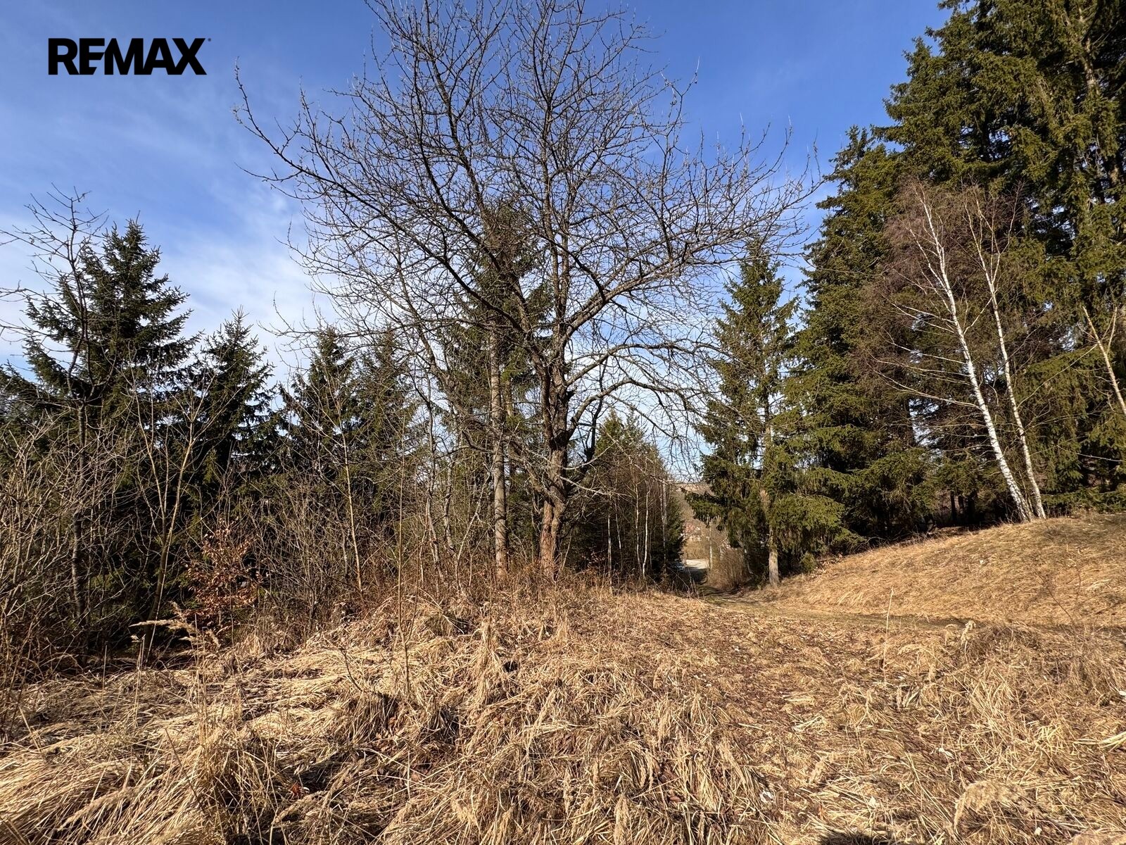 Prodej pozemek pro bydlení - Rozstání, 3 780 m² - 5