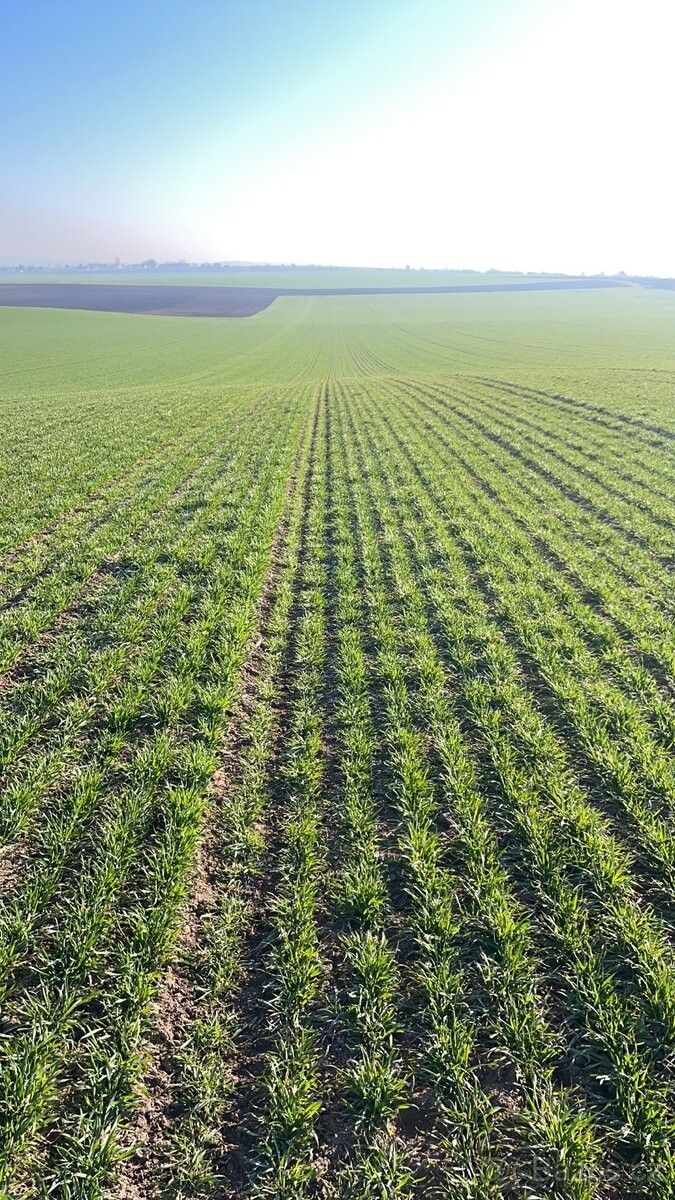 Pozemky pro bydlení, Slaný, 274 01