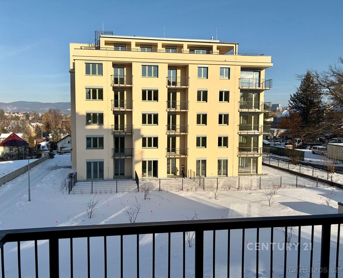 Ostatní, Liberec, 460 10