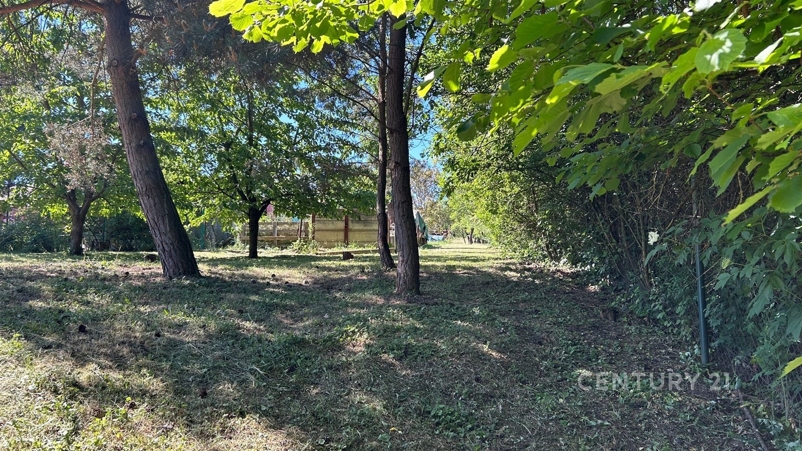 Pozemek pro bydlení · Nová Ves - 3