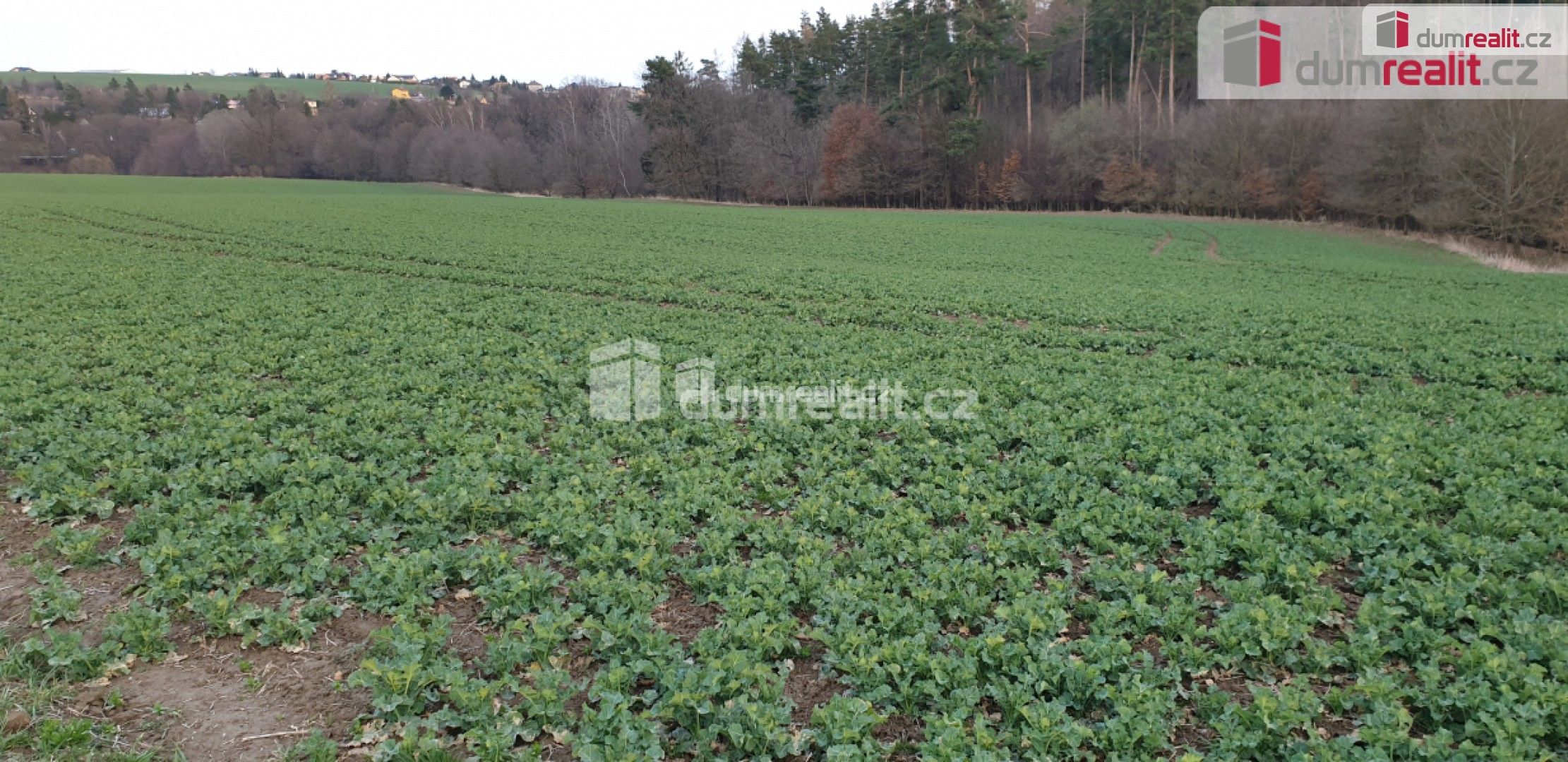 Zemědělské pozemky, Dolní Lhota, 3 516 m²