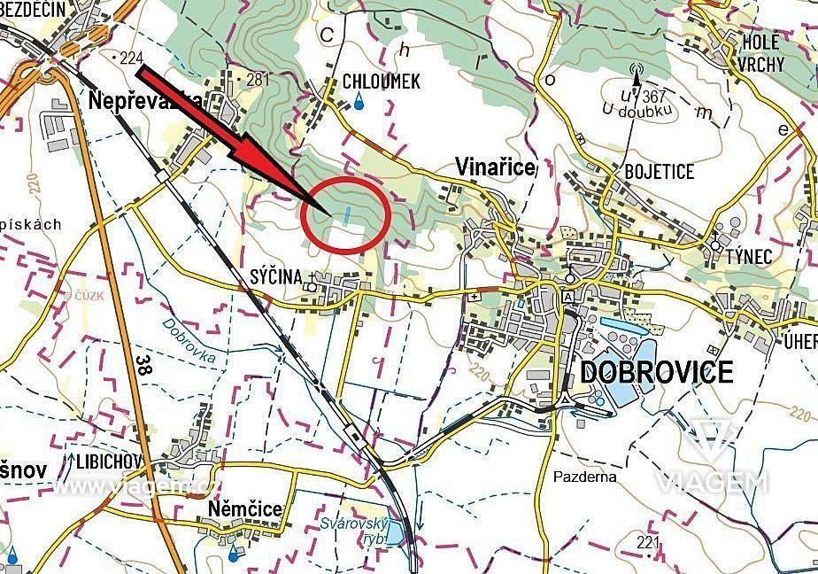 Les · Dobrovice, okres Mladá Boleslav, Středočeský kraj - 4