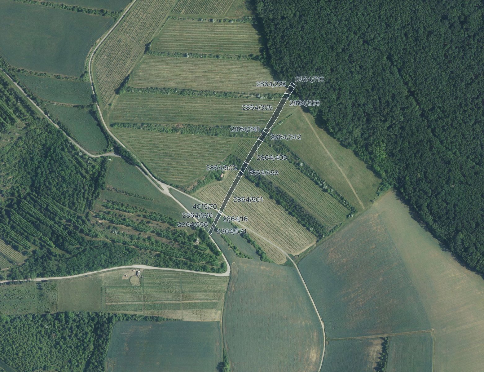 Ostatní, Boleradice