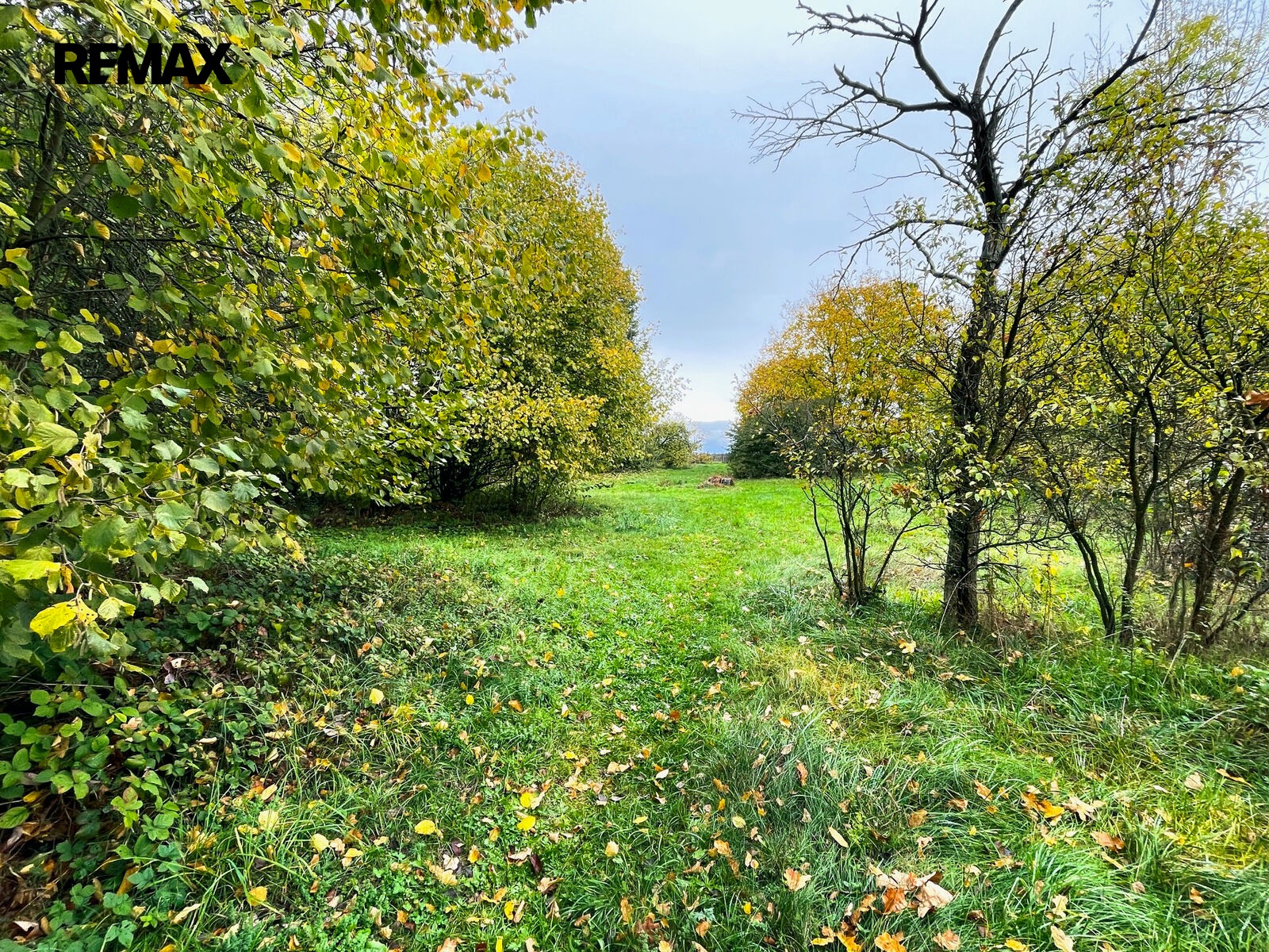 Rodinný dům · 68 m² · Kladruby nad Labem Komárov - 3