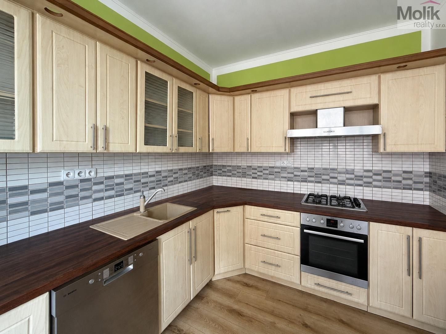Rodinné domy, Thámova, Teplice, 360 m² - 2