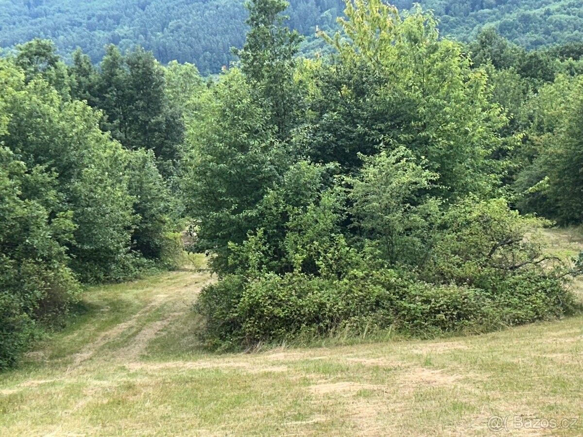 Prodej pozemek pro bydlení - Traplice, 687 04