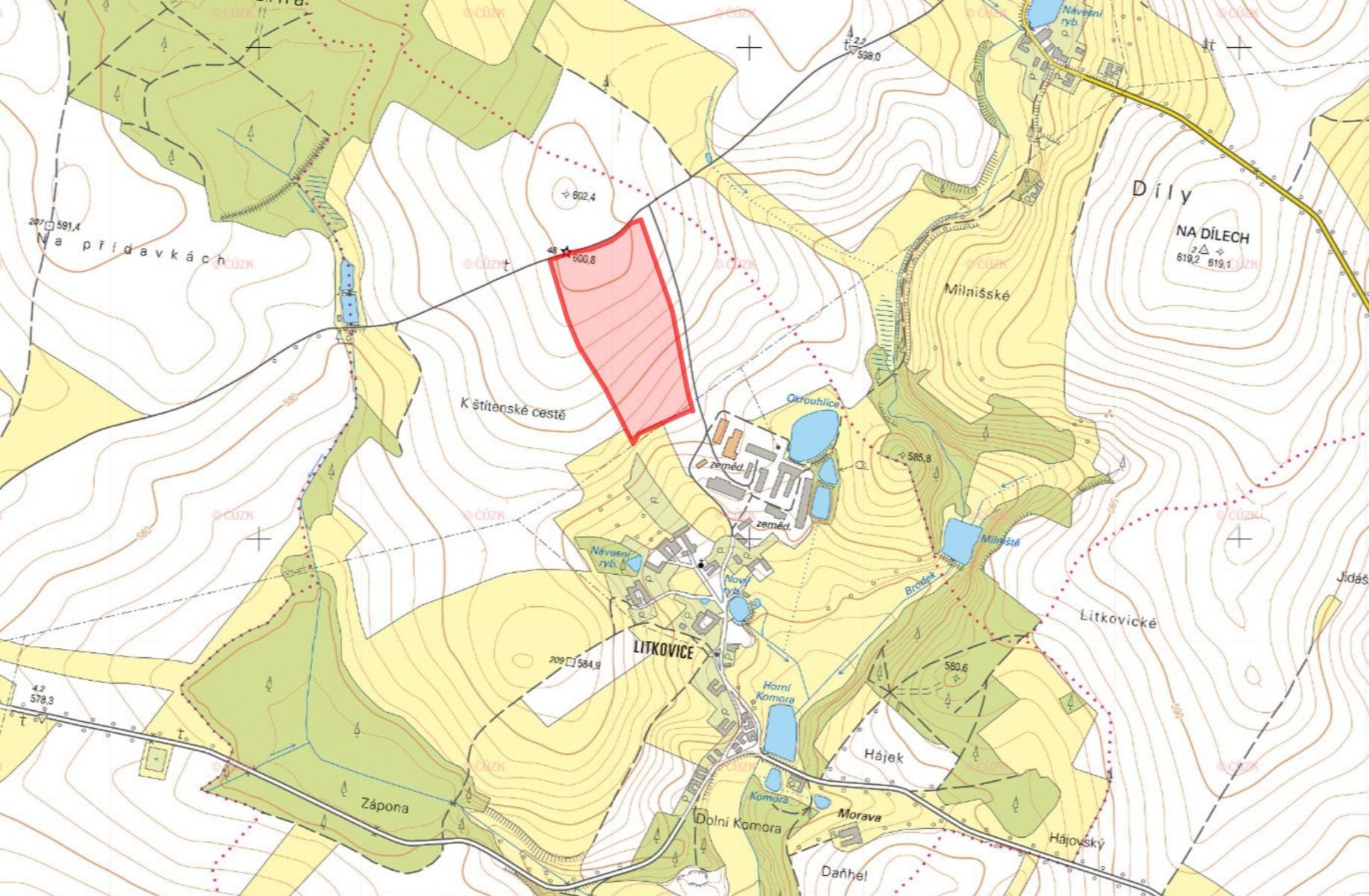 Prodej zemědělský pozemek - Litkovice, Žirovnice
