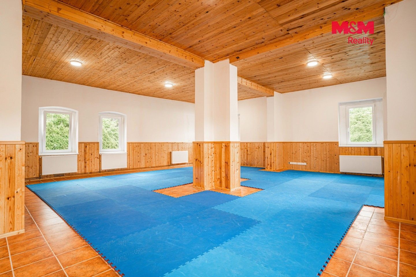 Ubytovací zařízení, Horní Vysoké, Levín, 13 087 m² - 2