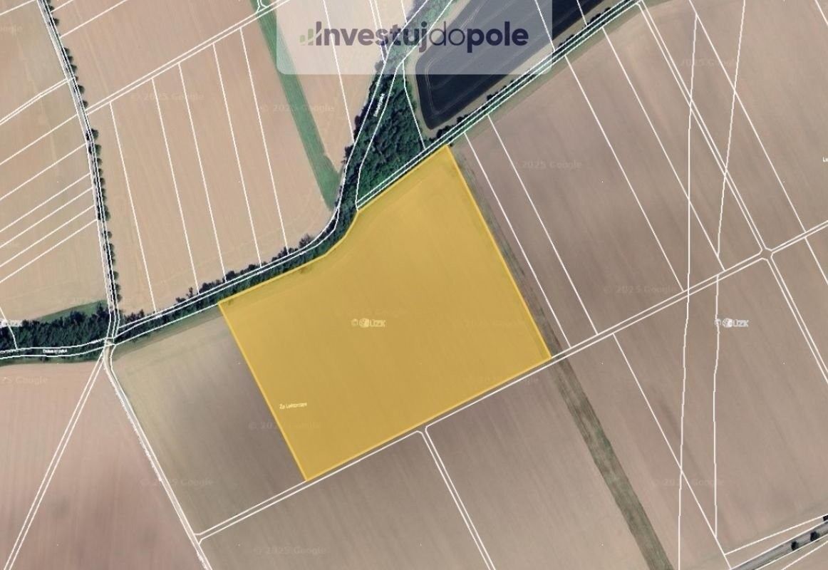 Zemědělské pozemky, Dolany, 7 632 m²