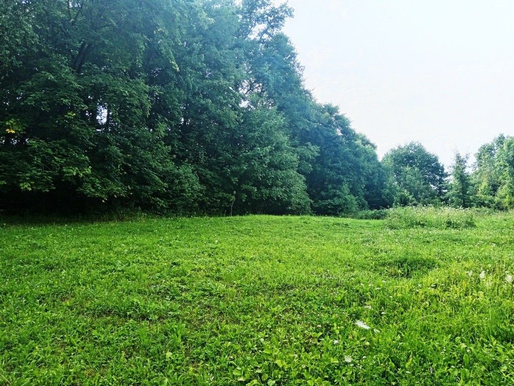 Zahrady, Třinec, 739 61 - 2