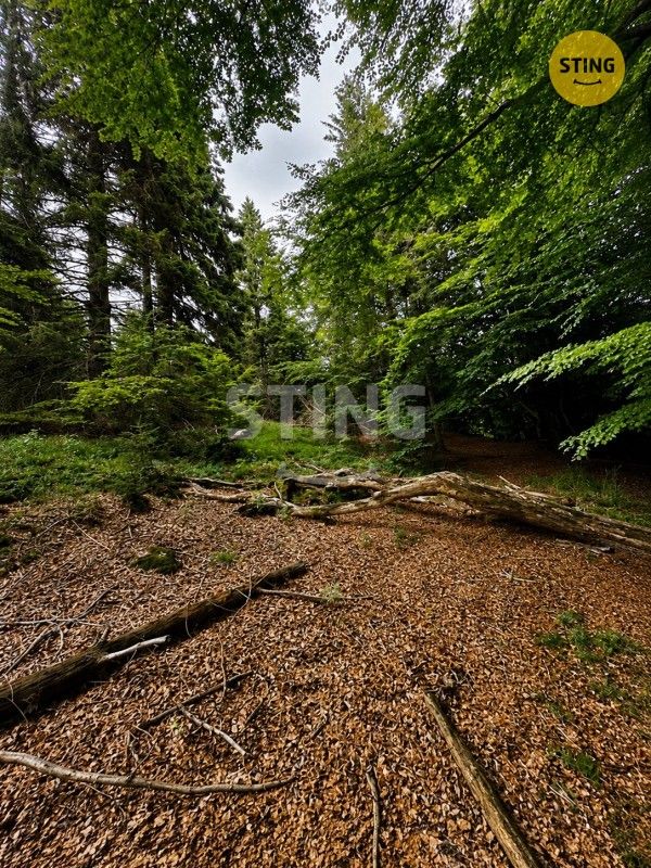 Louka · 6 262 m² · Košařiska - 3