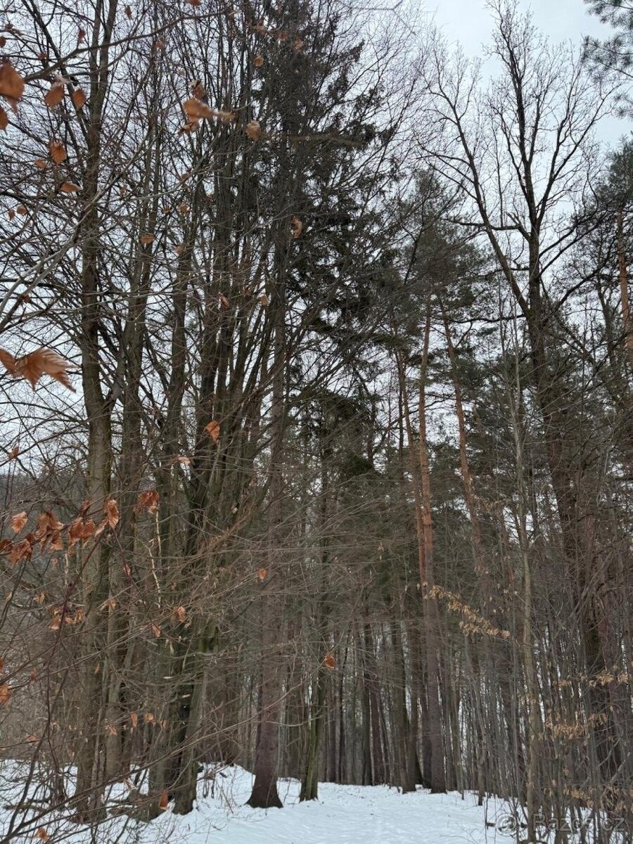 Pozemky pro bydlení, Valašská Bystřice, 756 27