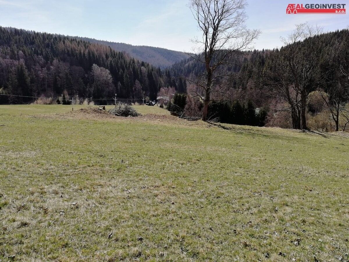Ostatní, Staré Město pod Sněžníkem, 788 32 - 1