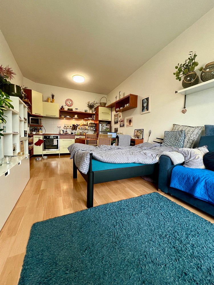 Byt 1+kk · 40 m² · Nad Jihlávkou, Jihlava - 3