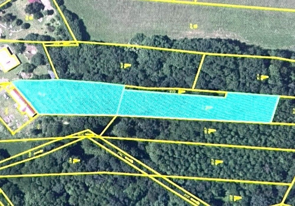 Prodej les - Klenčí pod Čerchovem - 5