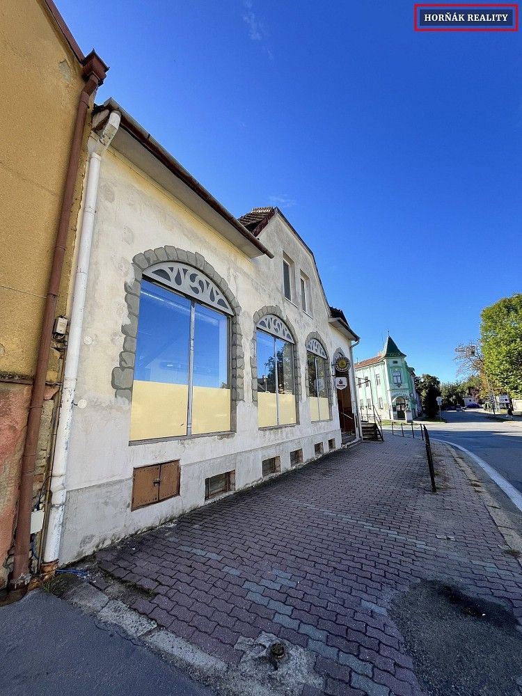 Pronájem restaurace - Nádražní, Bučovice, okres Vyškov, 207 m² - 5