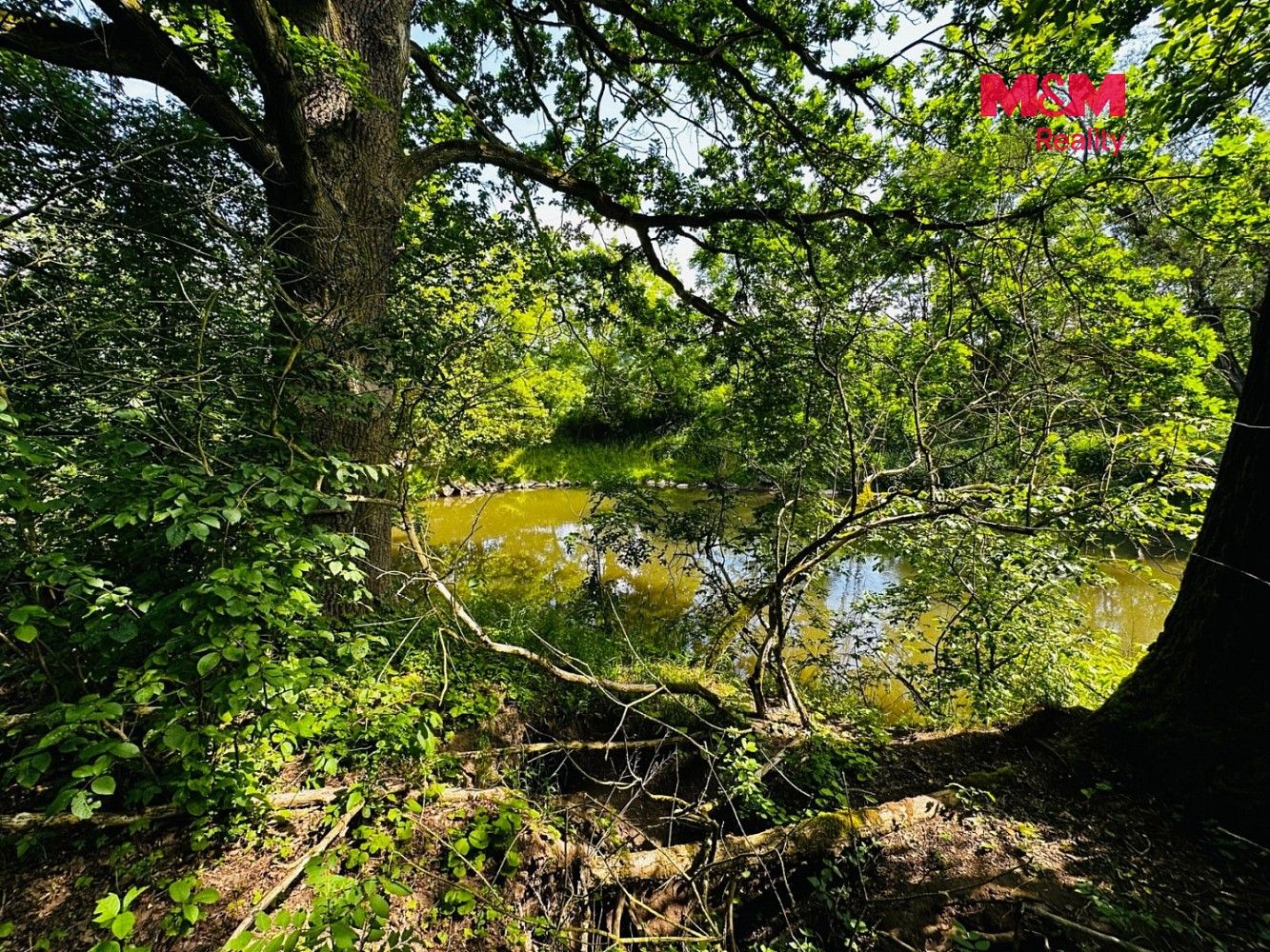 Prodej les - Borohrádek, okres Rychnov nad Kněžnou - 5