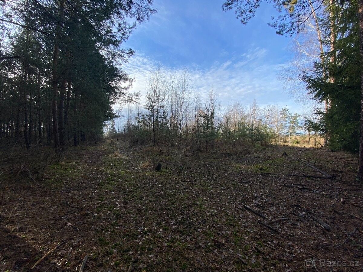 Pozemky pro bydlení, Holice v Čechách, 534 01