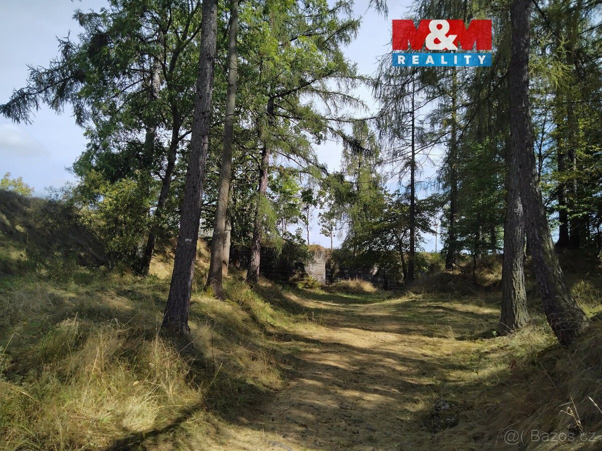 Pozemky pro bydlení, Bruntál, 792 01