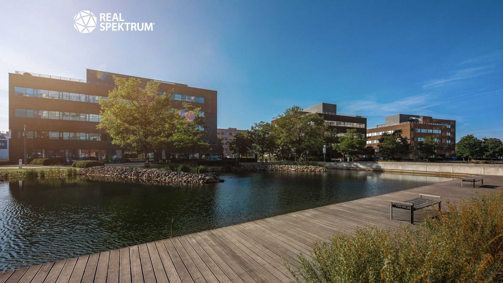 Kanceláře, Holandská, Brno, 240 m²