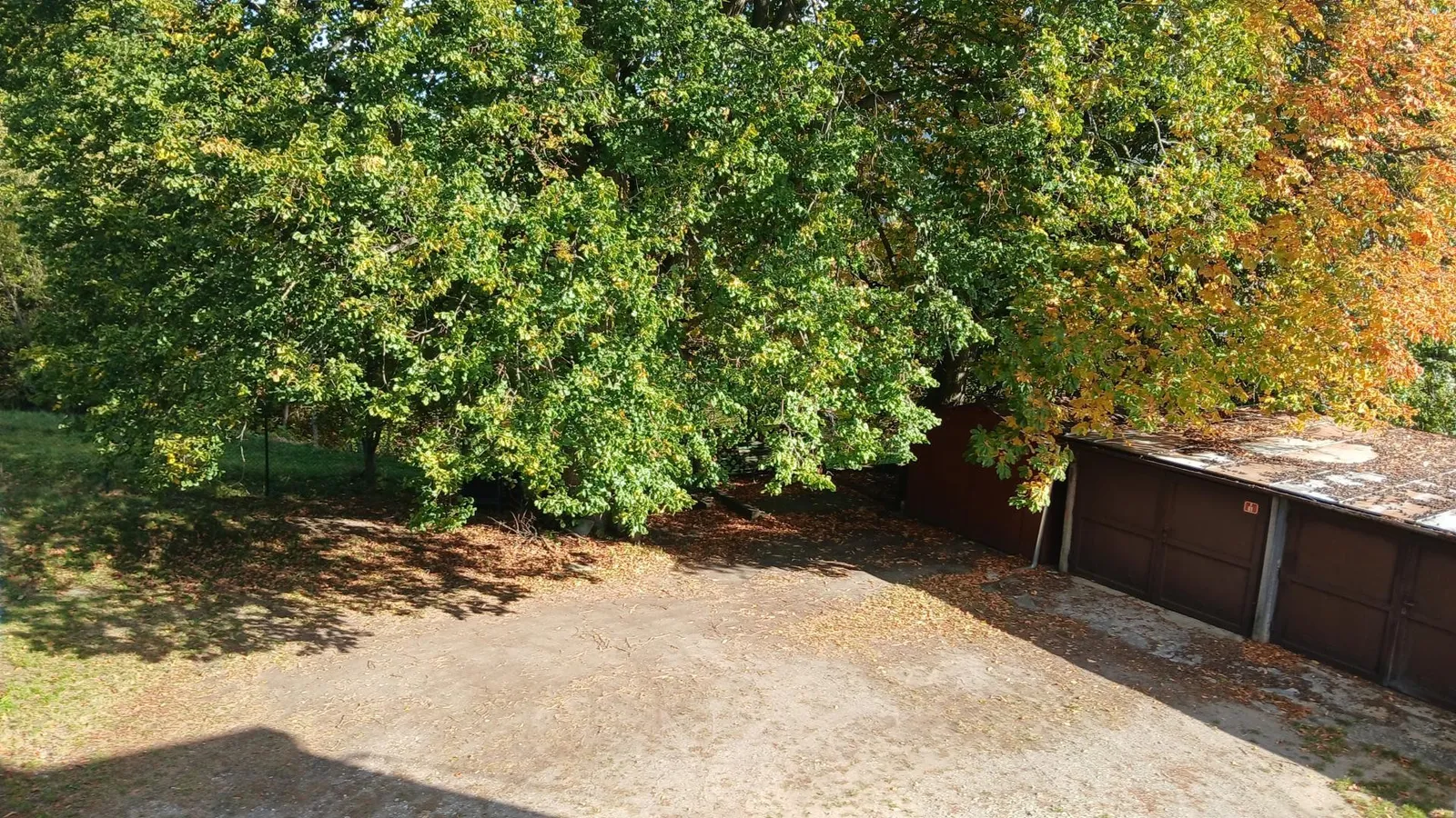 Ostatní