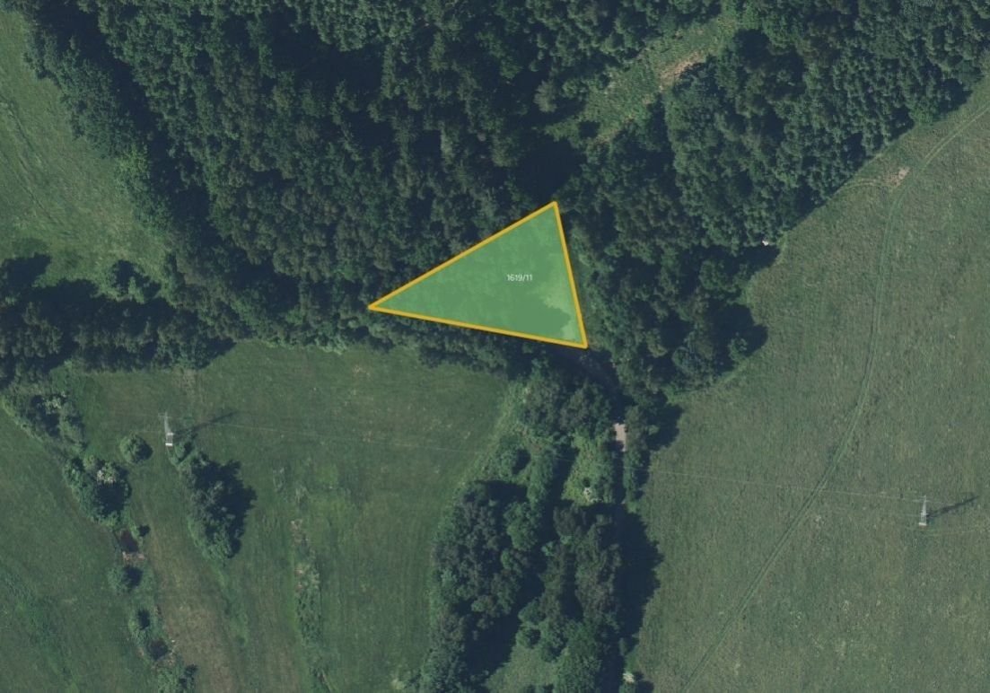 Prodej zemědělský pozemek - Nová Ves - 2