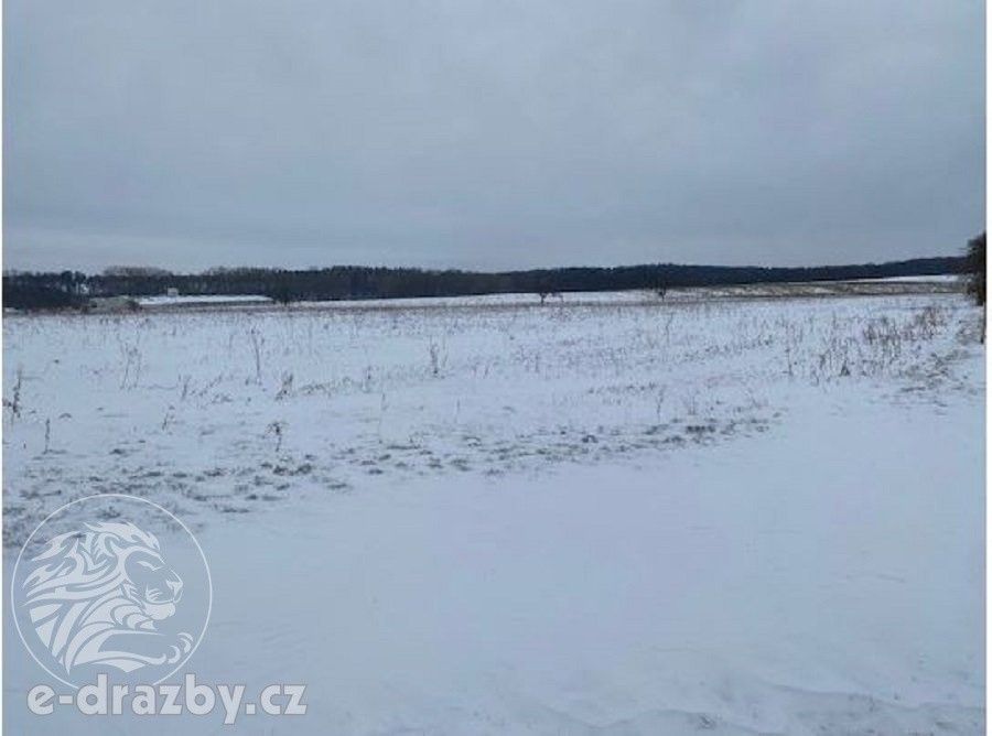 Prodej zemědělský pozemek - Toušice, 7 911 m²