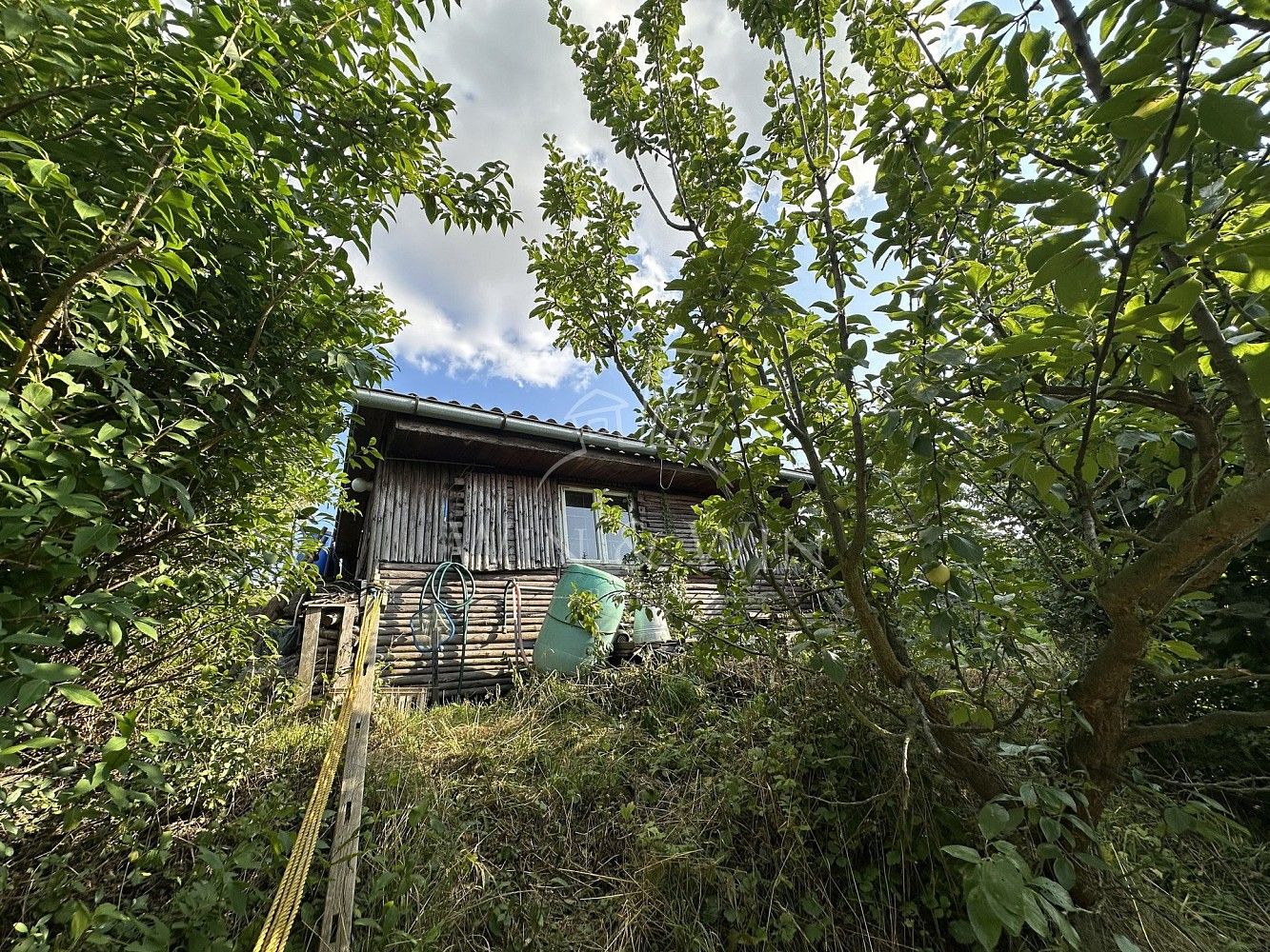 Zahrada · Brandýs nad Labem-Stará Boleslav - Popovice, okres Praha-východ, Středočeský kraj - 3