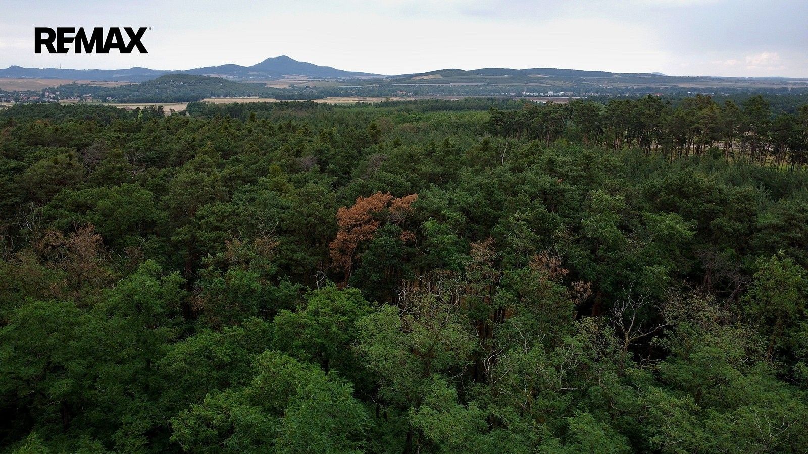 Prodej les - Terezín, okres Litoměřice, Ústecký kraj - 5