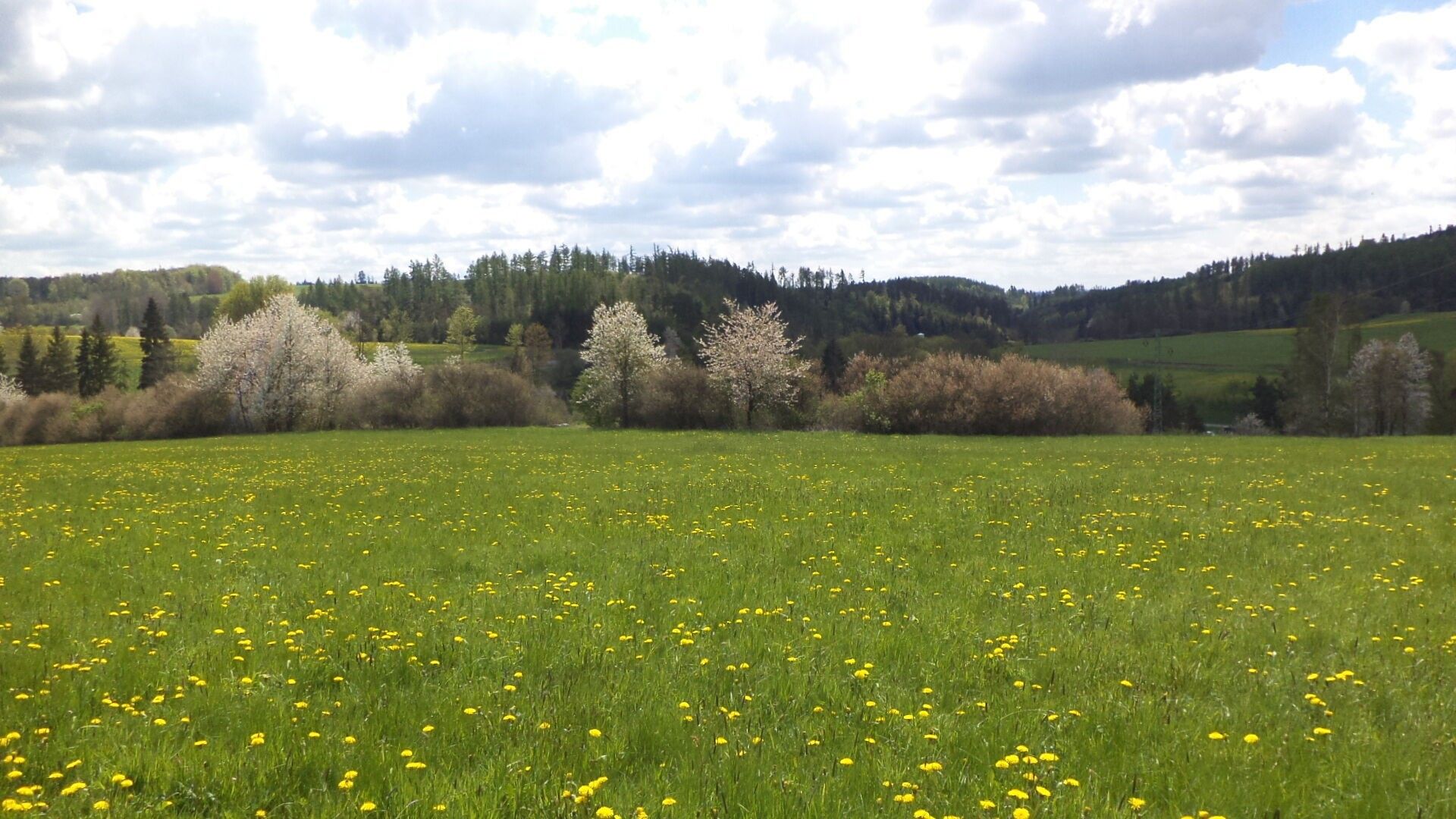 Pozemek · 5 357 m² · Vítkov - 4