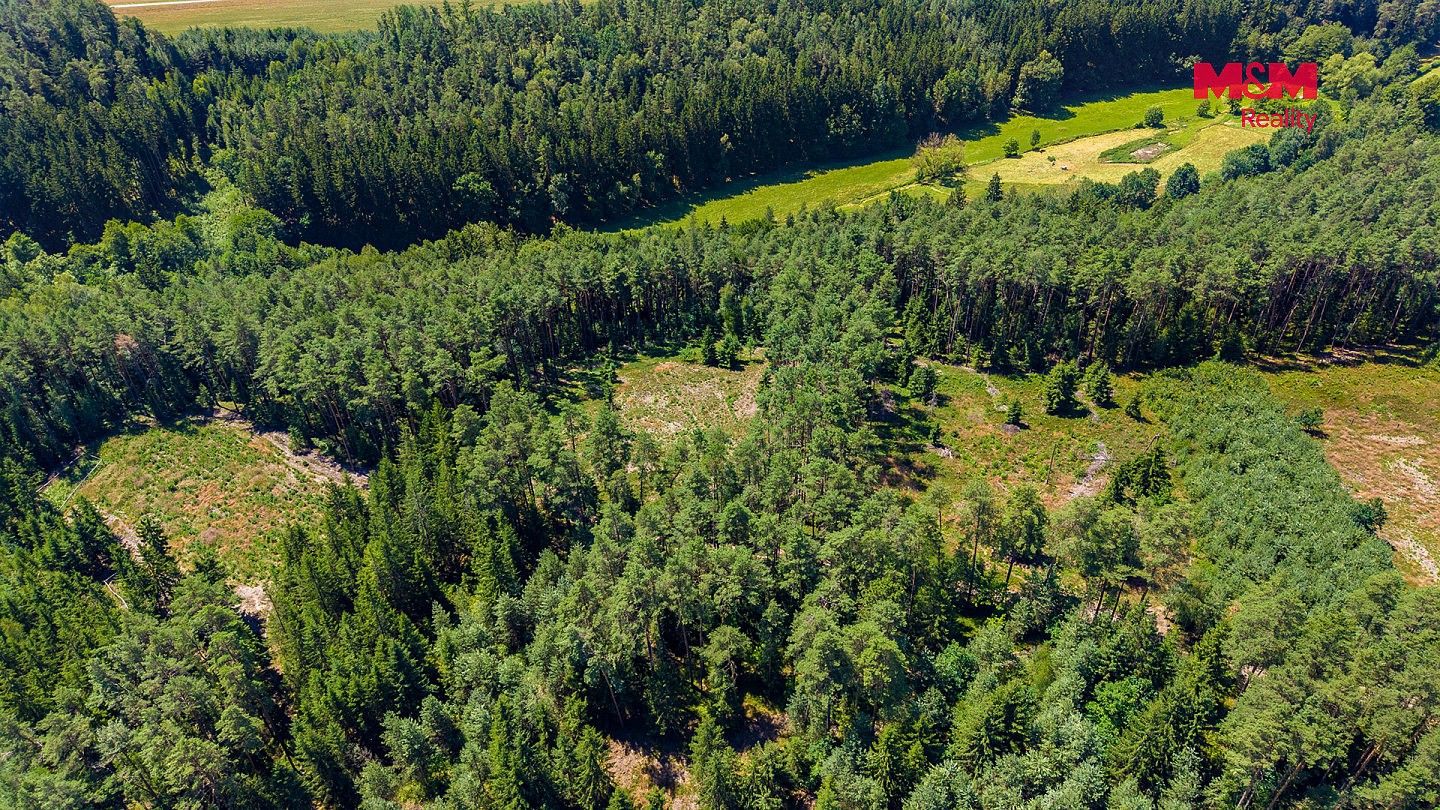 Prodej les - Bílá, okres Liberec, Liberecký kraj - 2