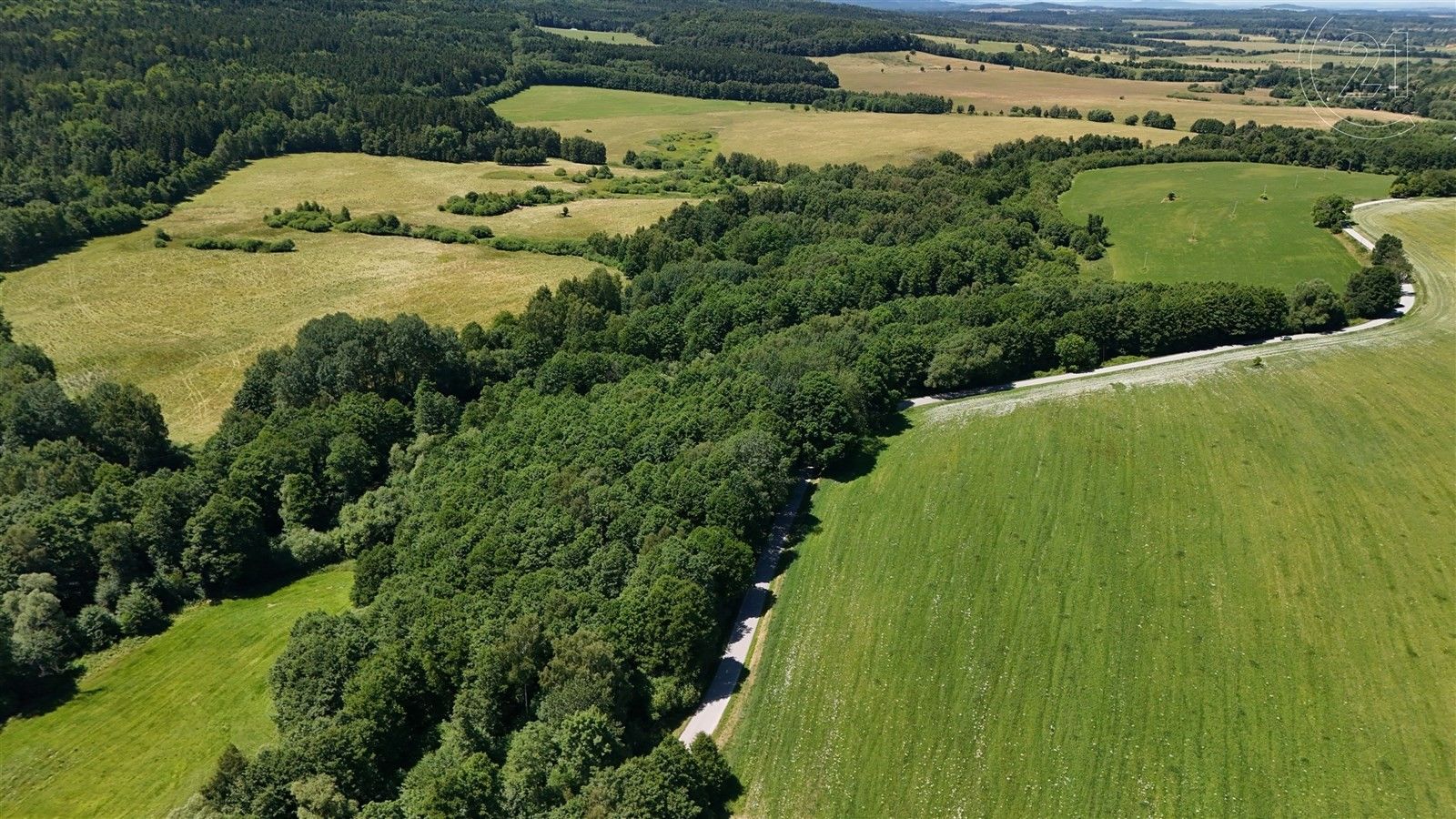 Prodej les - Horní Stropnice