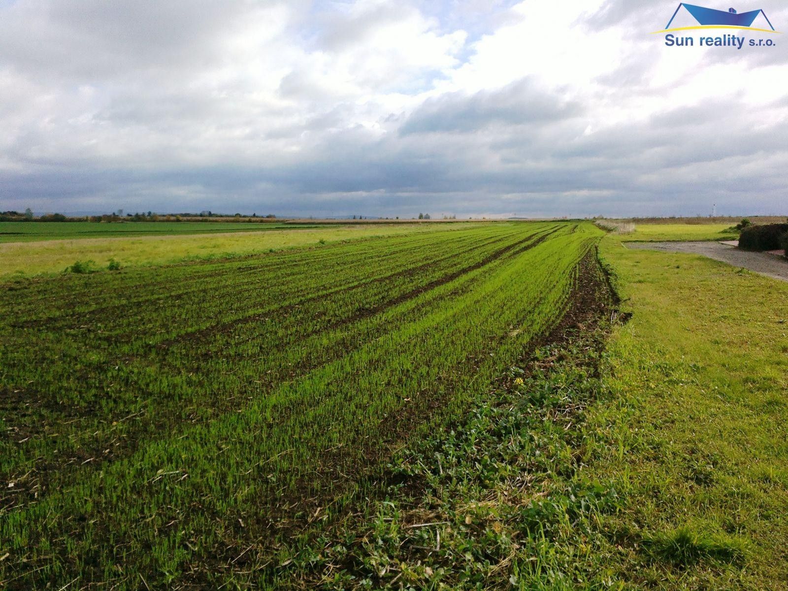 Prodej komerční pozemek - I. P. Pavlova, Olomouc, 10 000 m²