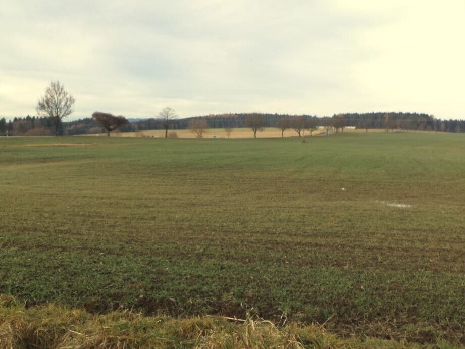 Zemědělský pozemek · 9 169 m² · Kaplice Mostky - 3