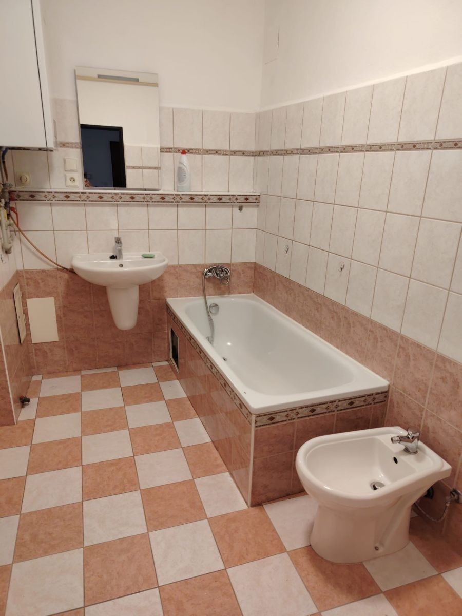 Pronájem byt 2+1 - Drlíčov, Písek - Písek, Jihočeský kraj, 80 m² - 5
