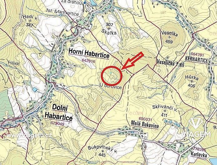 Les · Horní Habartice, okres Děčín, Ústecký kraj - 3