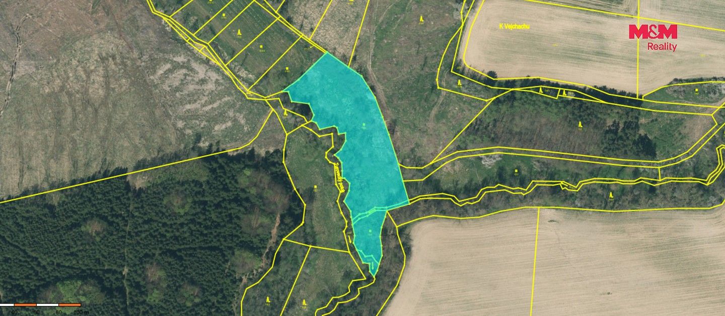 Rybník · Dolní Hořice - Pořín, okres Tábor, Jihočeský kraj - 4