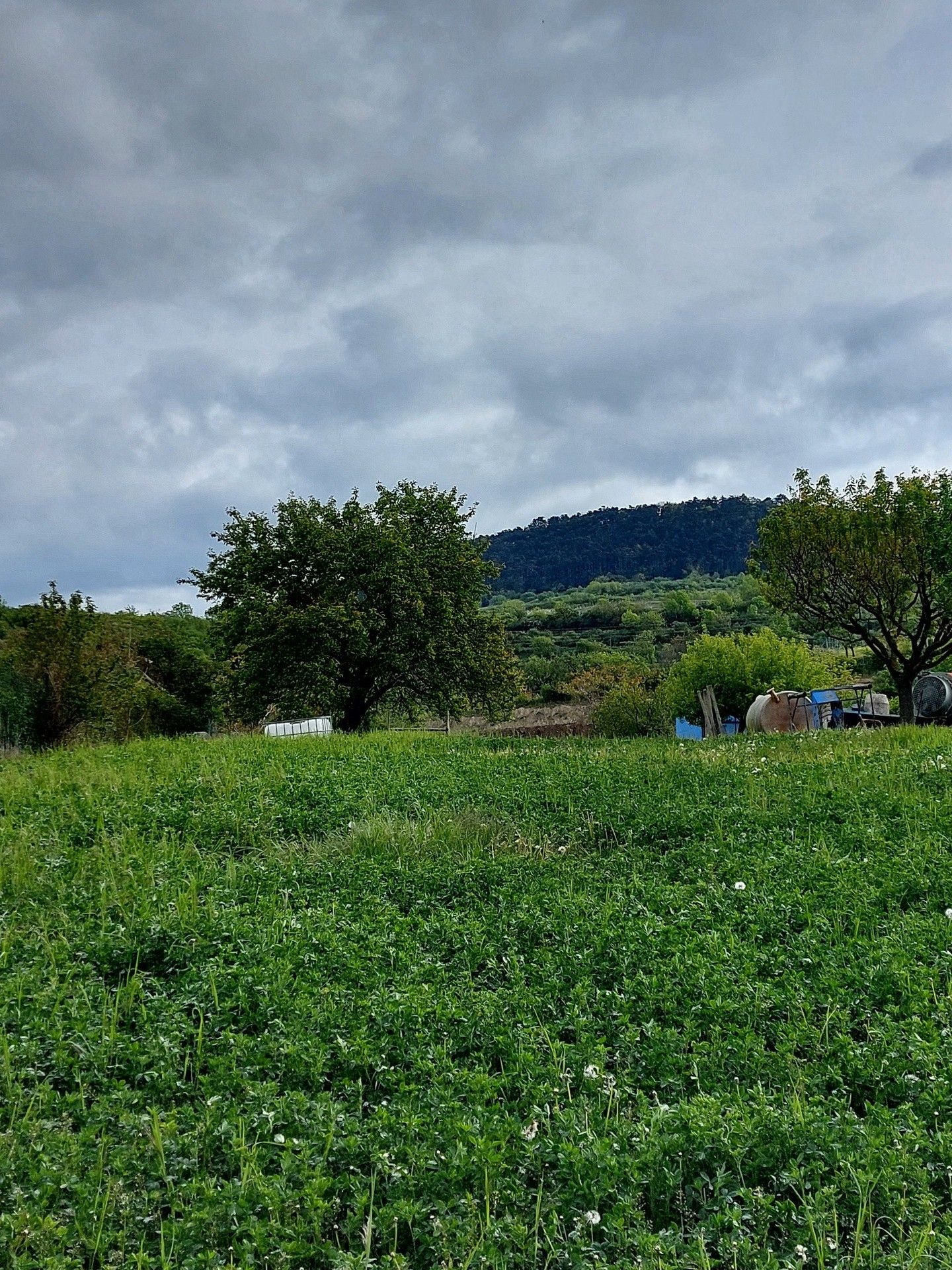 Prodej pozemek pro bydlení - Perná