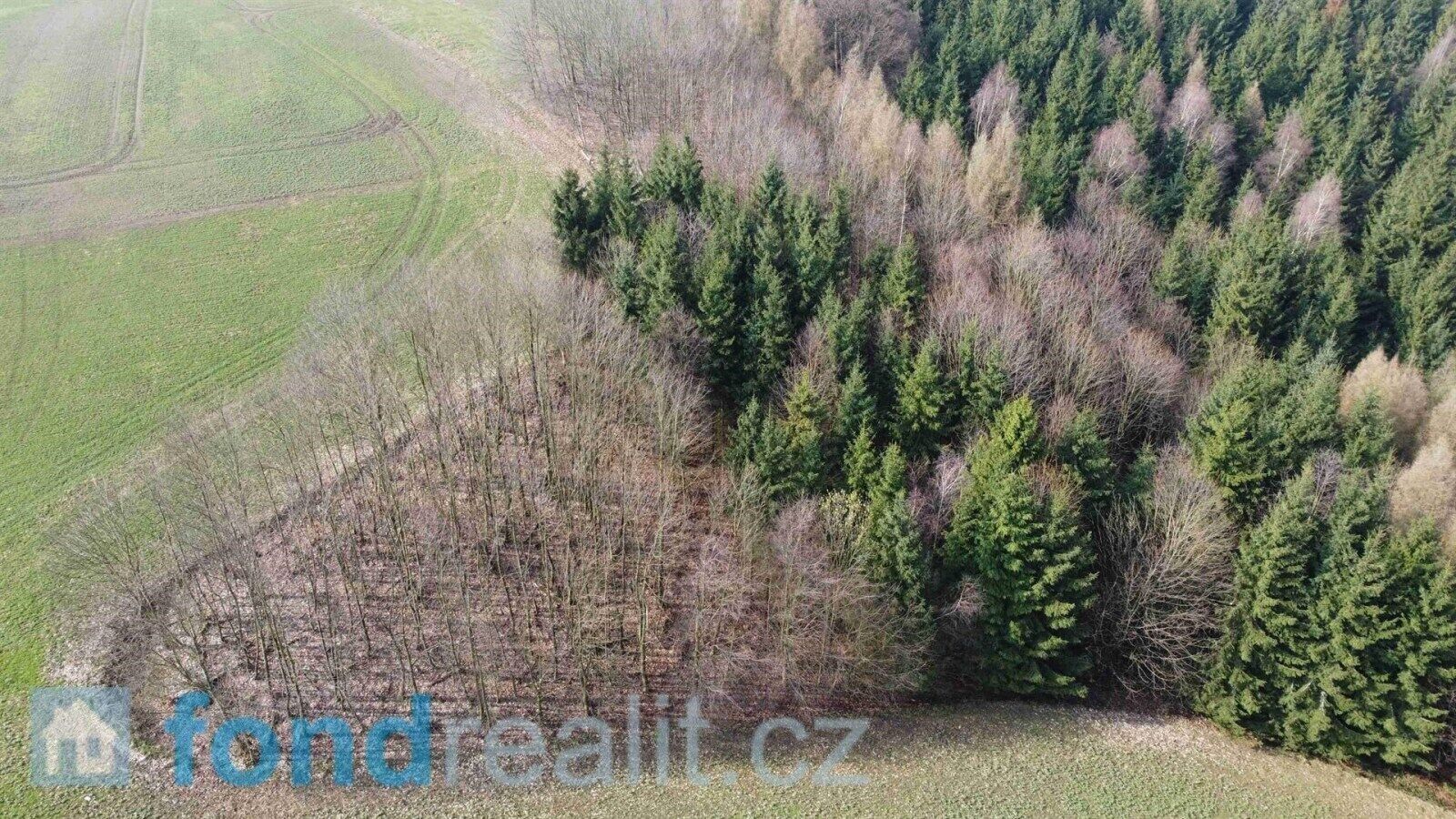 Zemědělský pozemek · 7 831 m² · Krchleby - 3