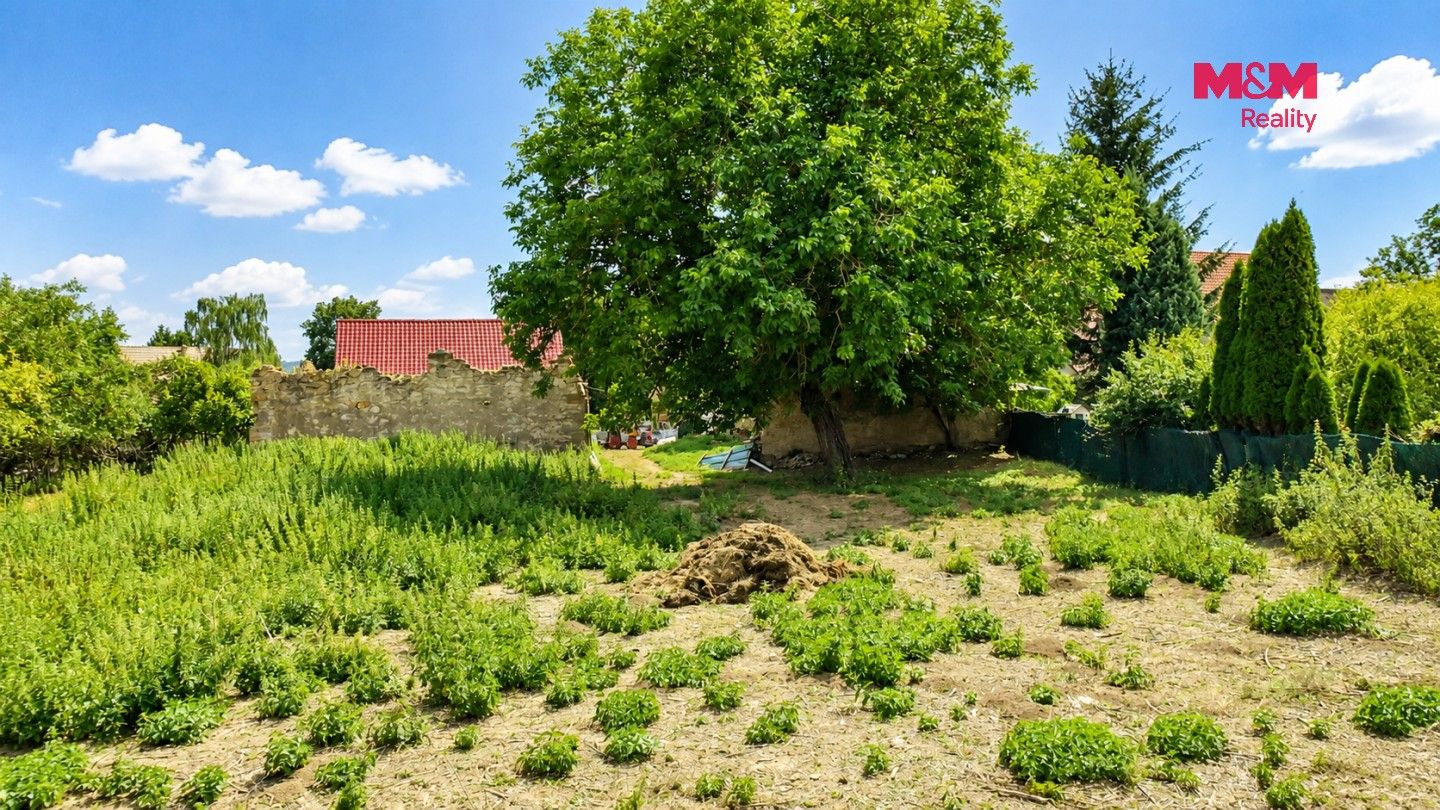 Ostatní, Robeč, Úštěk, 1 230 m² - 2