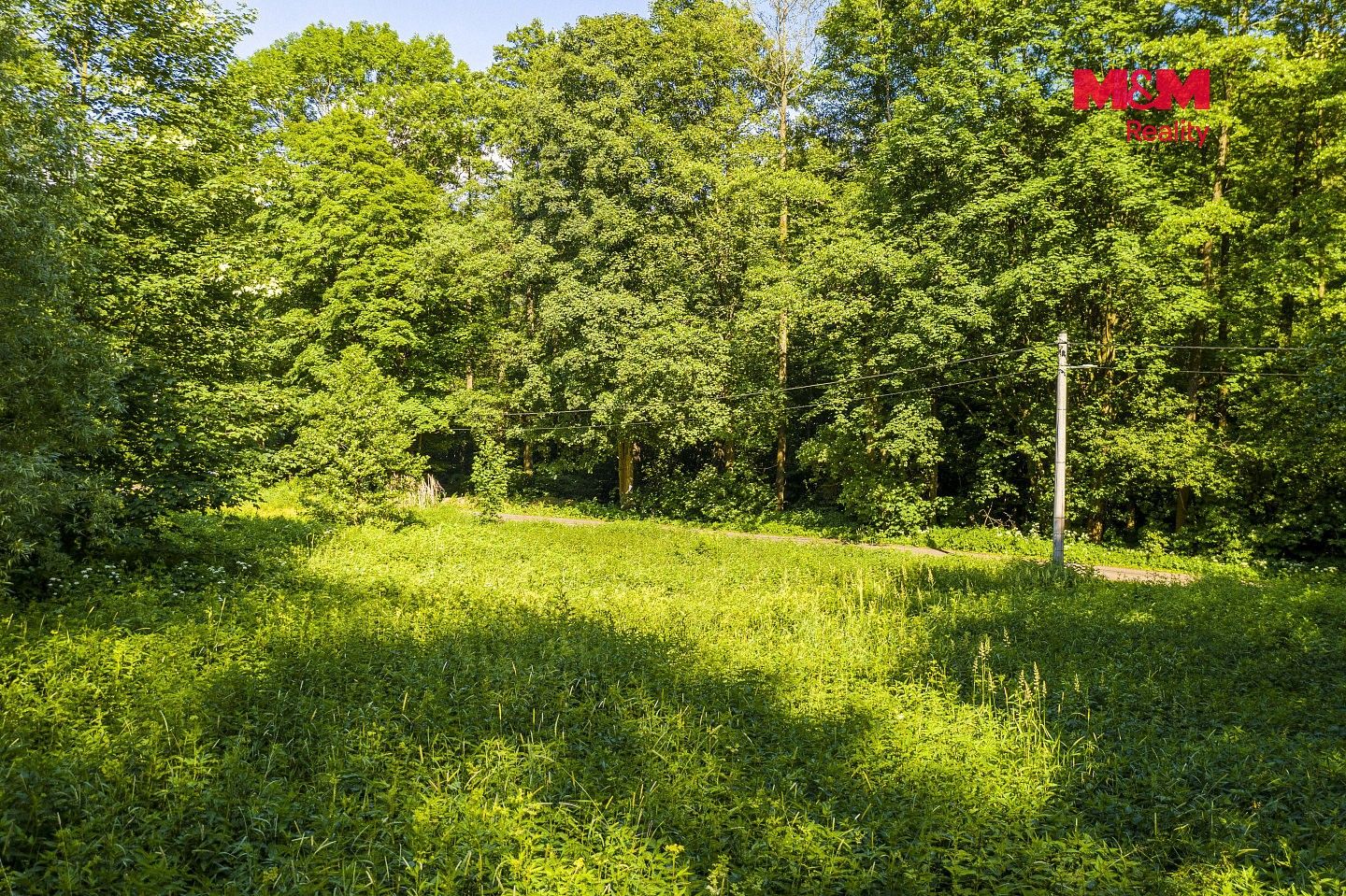 Prodej louka - Hodkovice nad Mohelkou, okres Liberec, Liberecký kraj - 5