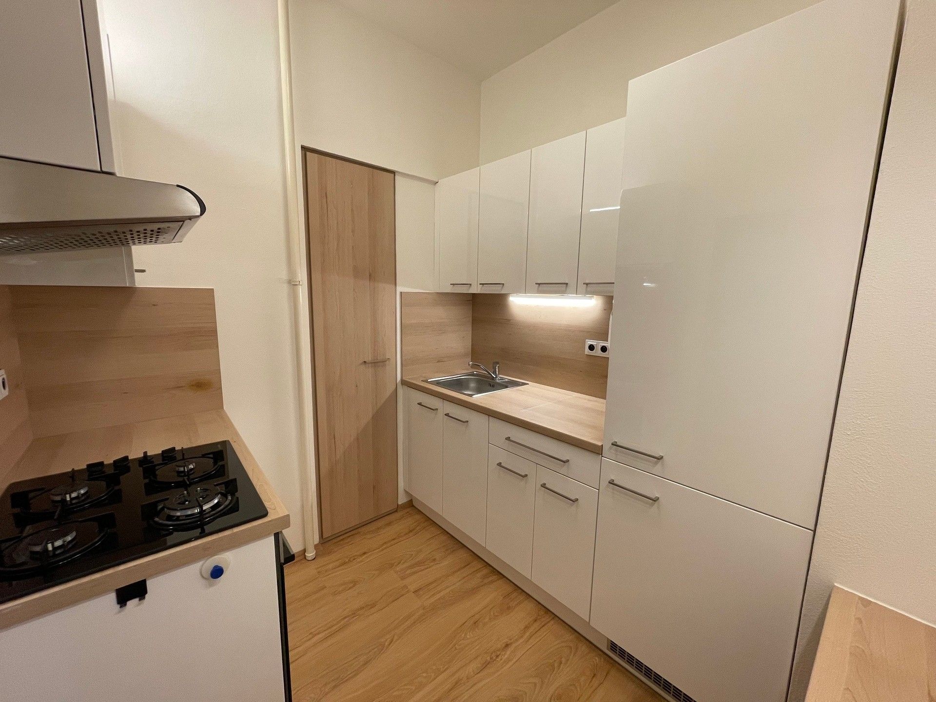 2+1, Kotlářská, Brno Veveří, 53 m²