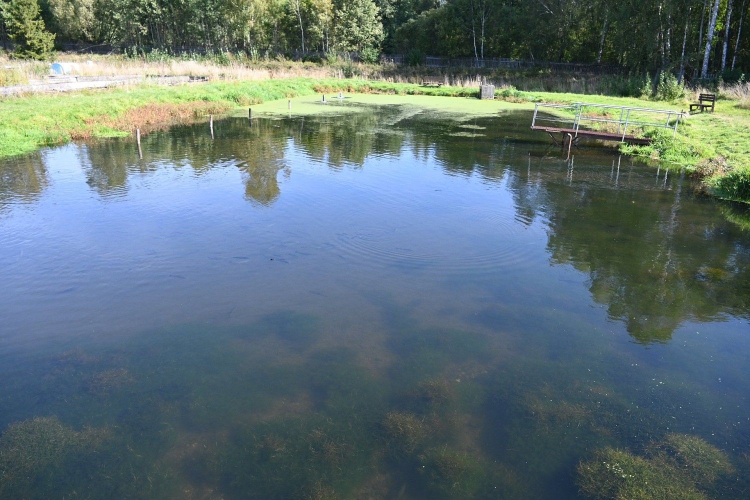 Komerční nemovitost · 5 700 m² · Lomnice - Tylov, okres Bruntál - 4