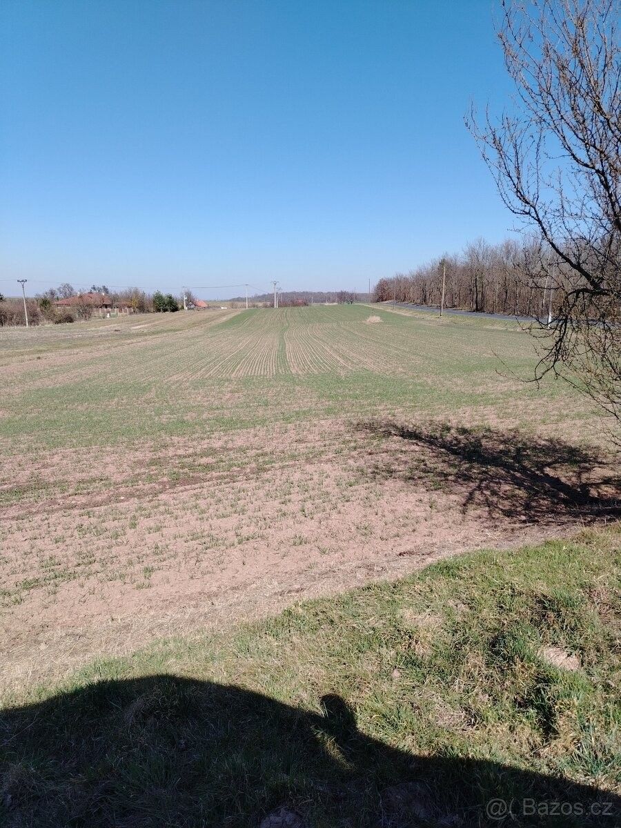 Pozemky pro bydlení, Olbramovice u Moravského Krumlova, 671 76